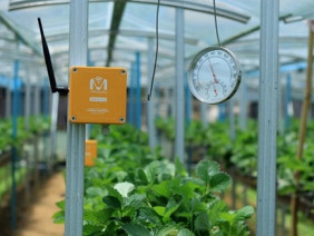 Chìa khóa cho nông nghiệp bền vững: Kỹ thuật số giúp giảm chi phí